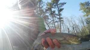 a nice rainbow on the Farmington today