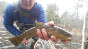 Another nice day on the river 2/21/16
