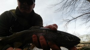 A quick hit after my "real job "  today 