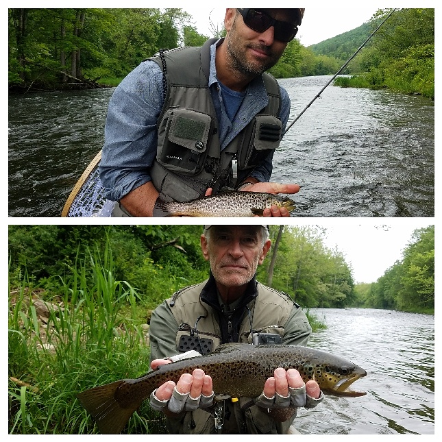 IMG_20170605_185911_254