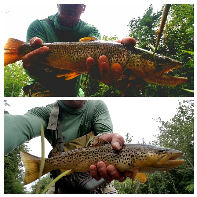 IMG_20170713_163610_837