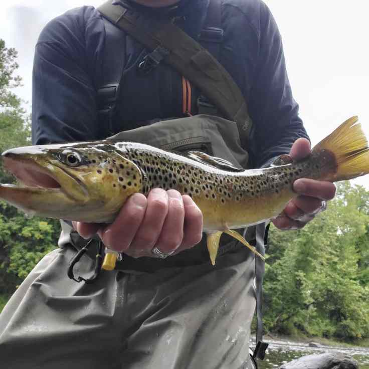 IMG_20190915_080935_657